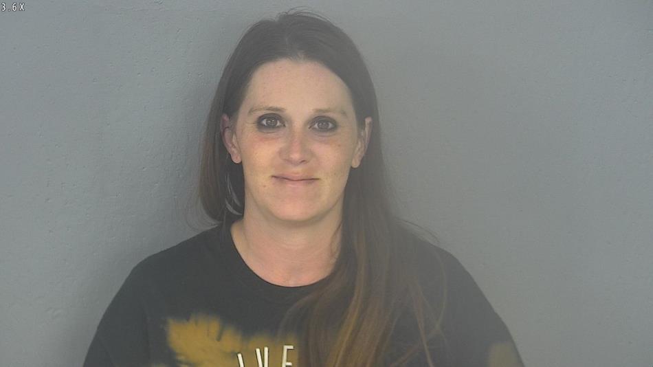 Arrest photo of TRACY JOHNSTON