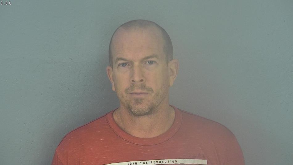 Arrest photo of TRACY AUSTIN