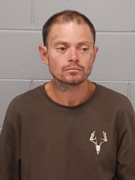 Arrest photo of TRAVIS GILT