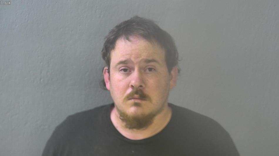 Arrest photo of TRAVIS HAMILTON