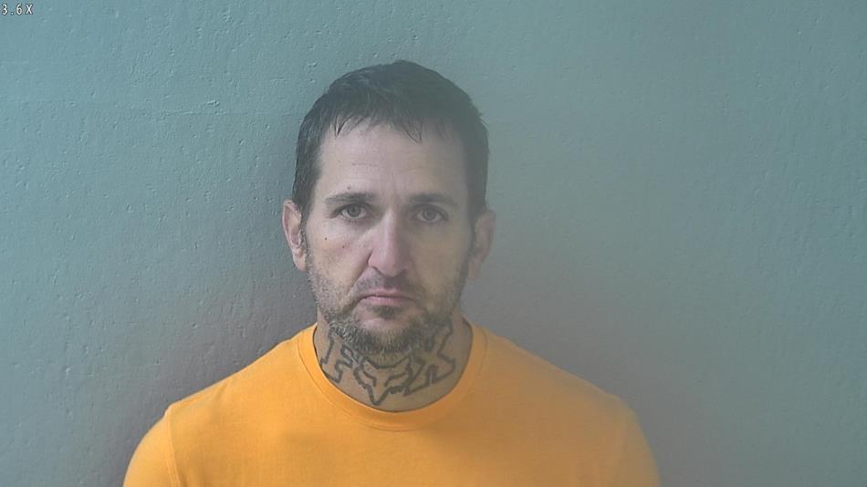 Arrest photo of TRAVIS THOMPSON