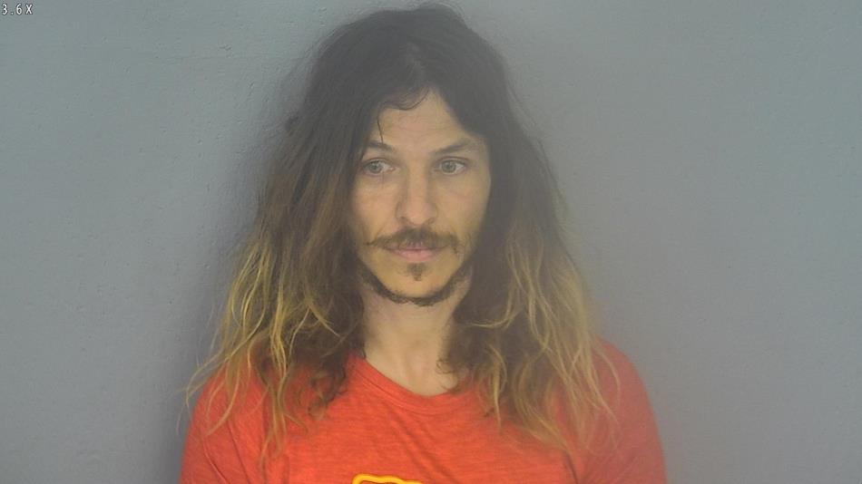 Arrest photo of TRAVIS BURNS