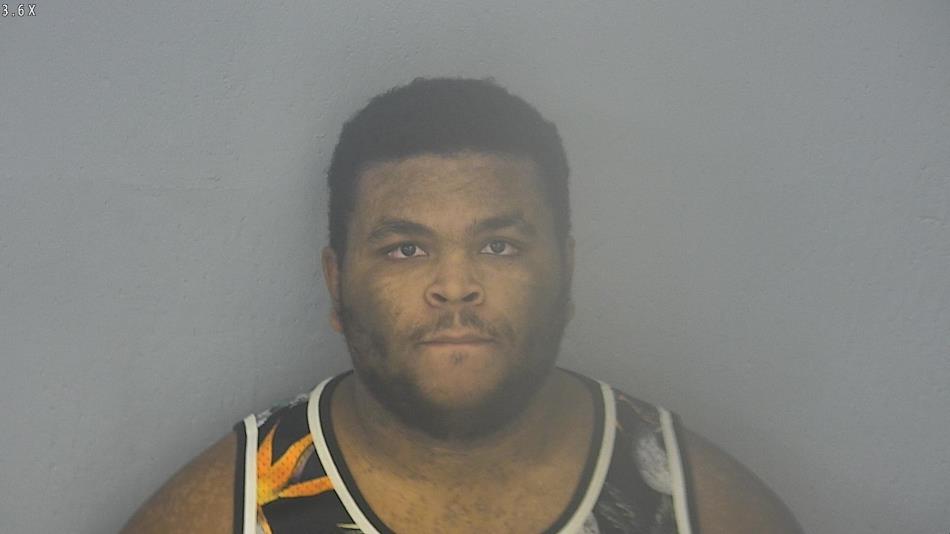 Arrest photo of TRAVIS BURT