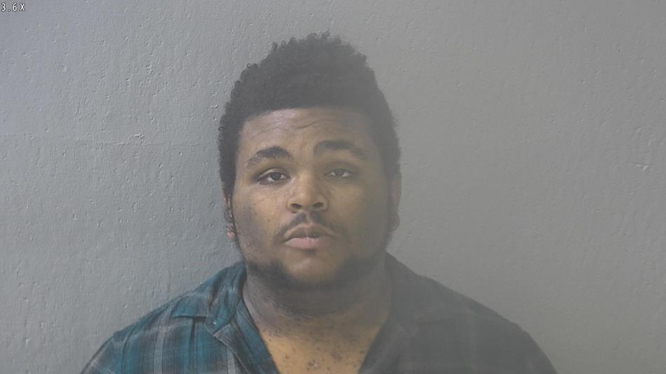 Arrest photo of TRAVIS BURT