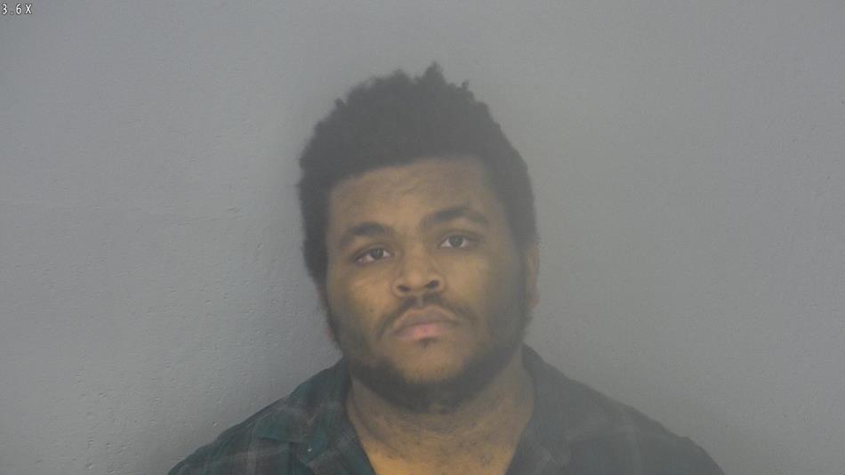 Arrest photo of TRAVIS BURT