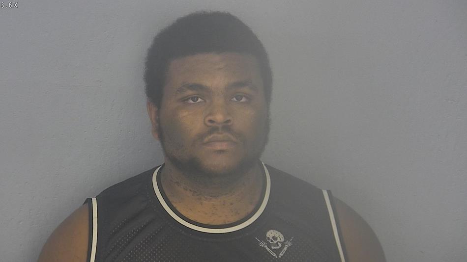 Arrest photo of TRAVIS BURT