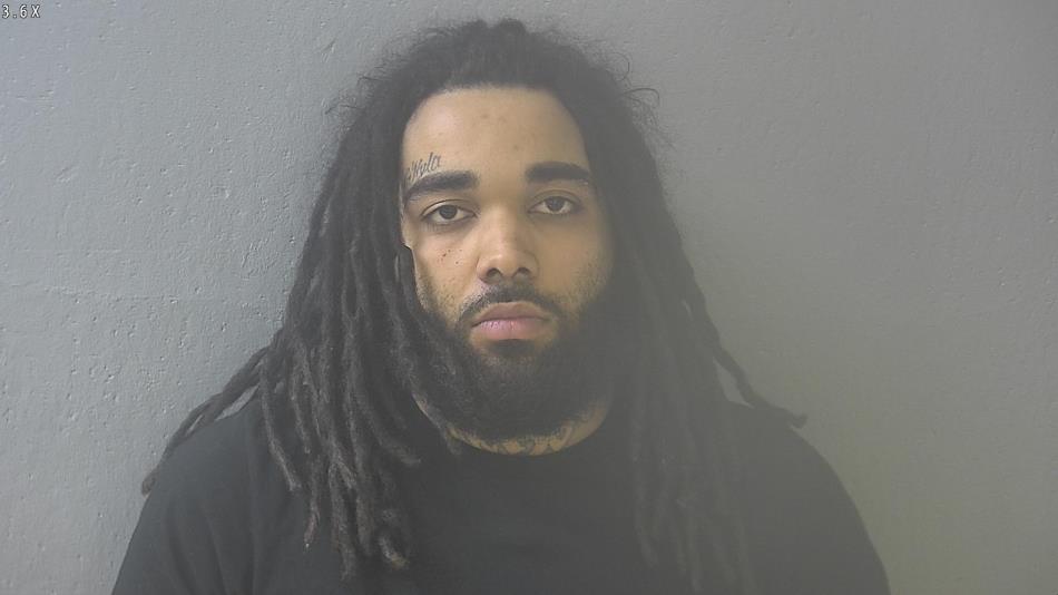 Arrest photo of TRAVIS BRYANT