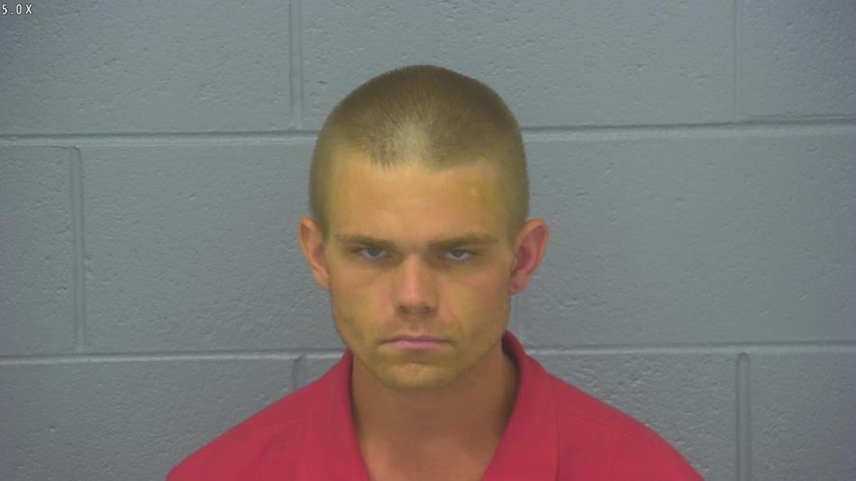 Arrest photo of TRAVIS WHITE