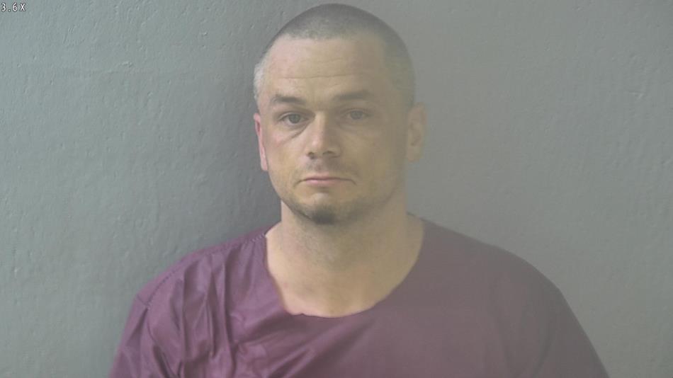 Arrest photo of TRAVIS WATTS