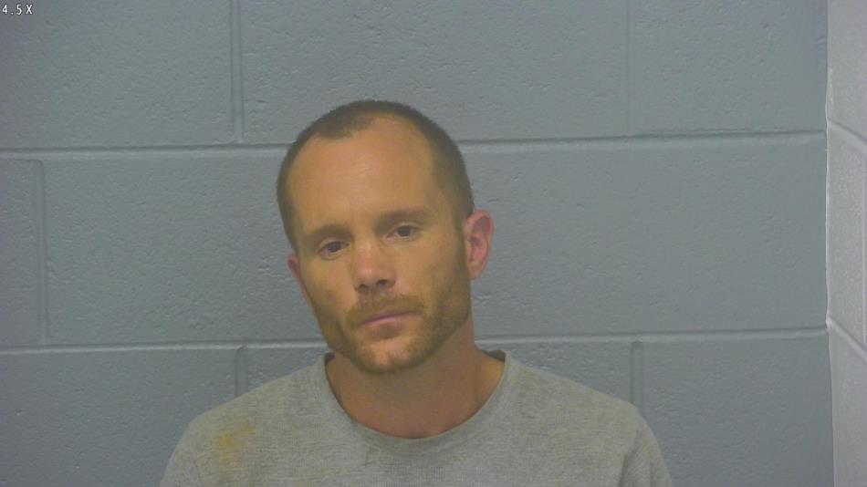 Arrest photo of TRAVIS GOODIN