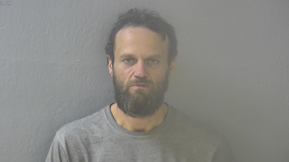 Arrest photo of TRAVIS HESTON