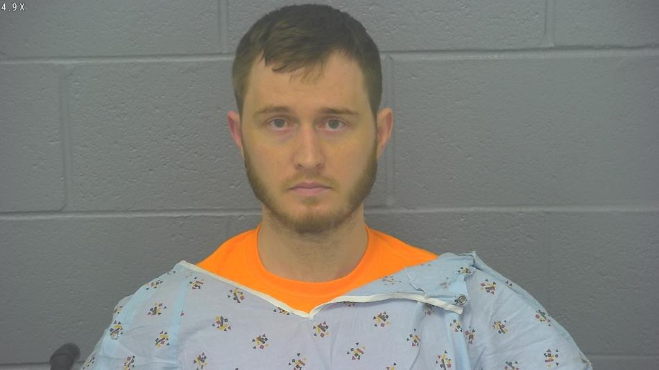 Arrest photo of TRENTON WALLACE