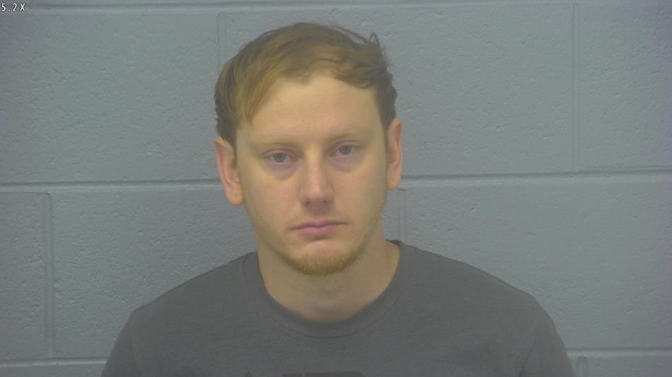 Arrest photo of TREVAN ANDREWS