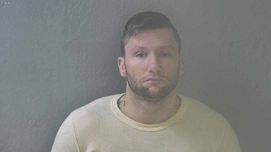 Arrest photo of TREVIN CARVER