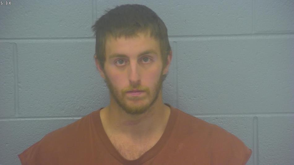 Arrest photo of TREVOR MILLER