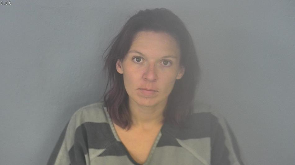 Arrest photo of TRICIA PICKLE