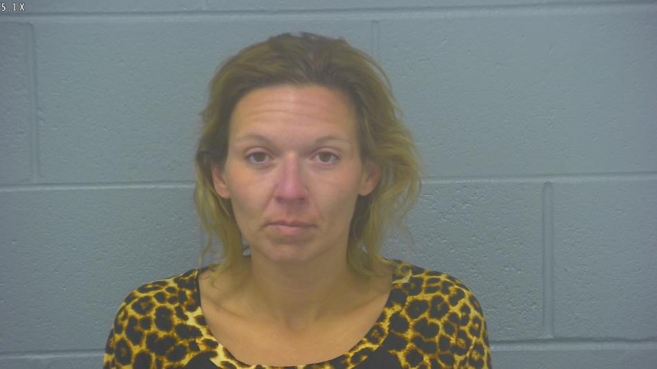 Arrest photo of TRICIA PICKLE