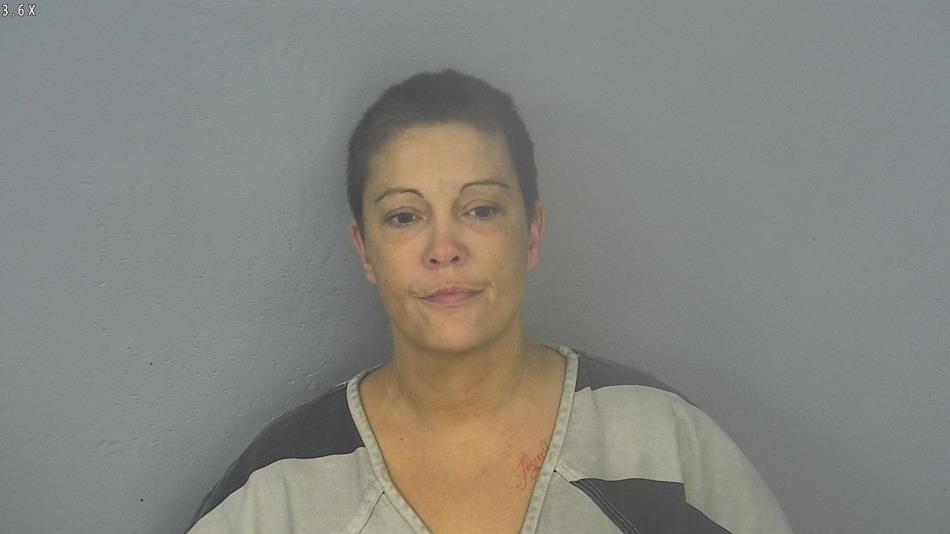 Arrest photo of TRISHA JOHNSON