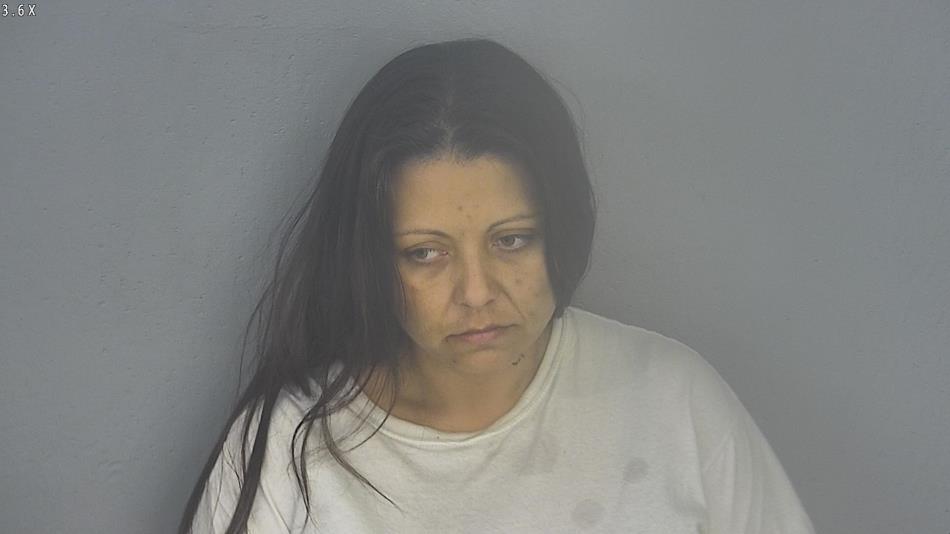 Arrest photo of TRISHA SUMMER