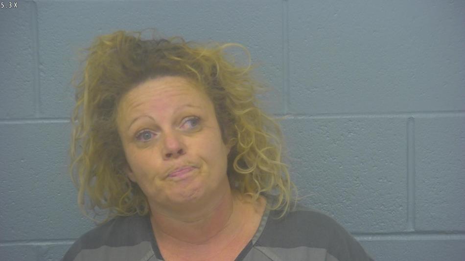 Arrest photo of TRISHIA DODD