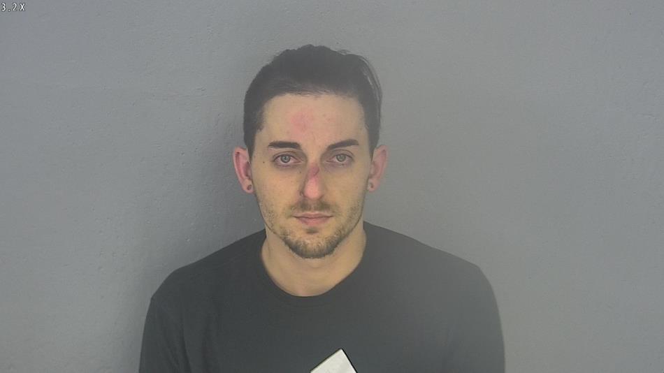 Arrest photo of TRISTAN SANDERS