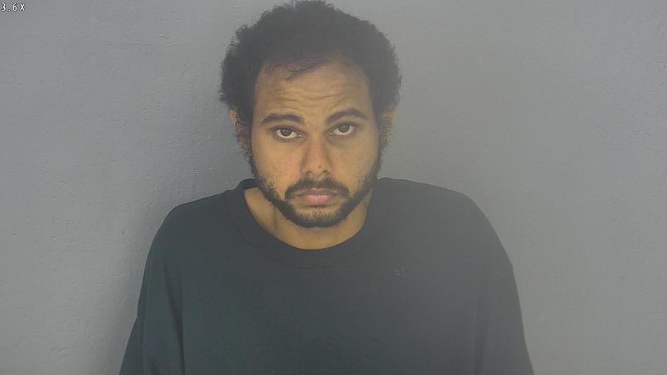 Arrest photo of TRISTAN PIERSON