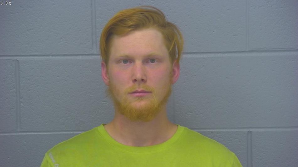 Arrest photo of TRISTAN STEVENS