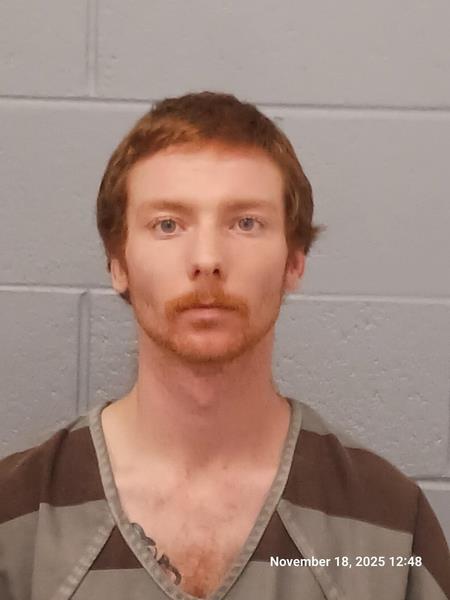 Arrest photo of TRISTAN BIERMANN