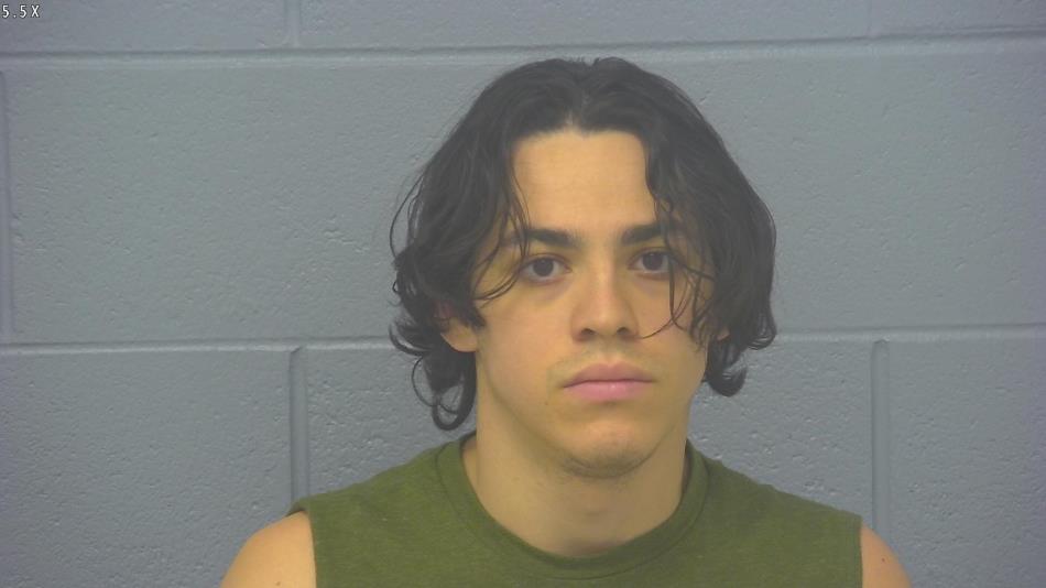 Arrest photo of TRISTAN BASALDUA