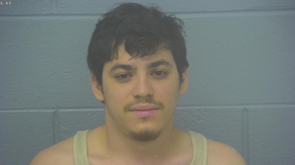 Arrest photo of TRISTAN BASALDUA