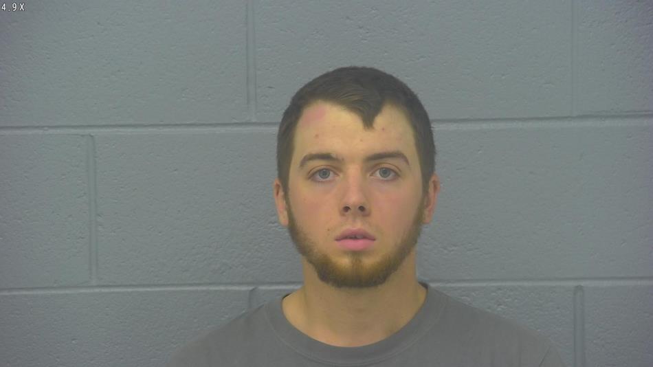 Arrest photo of TRISTEN ROGERS