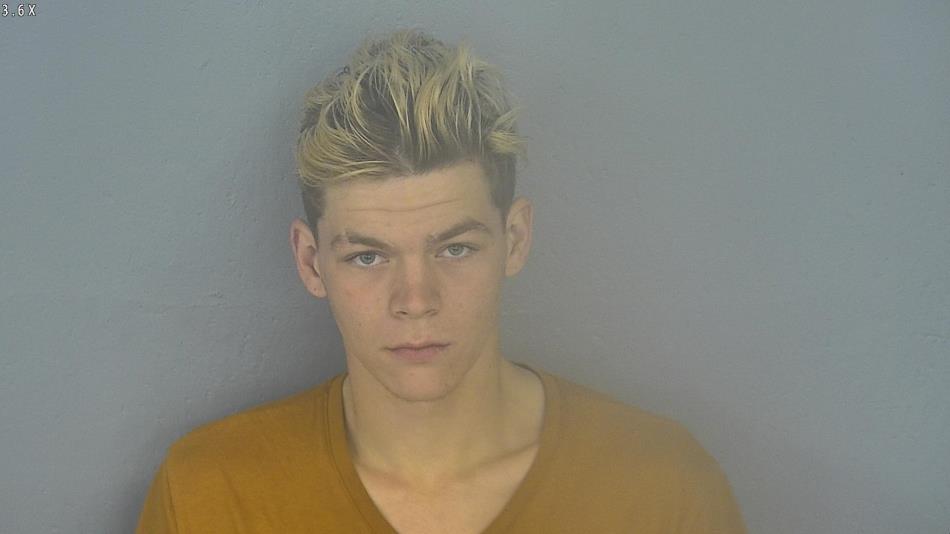Arrest photo of TRISTON BREGER
