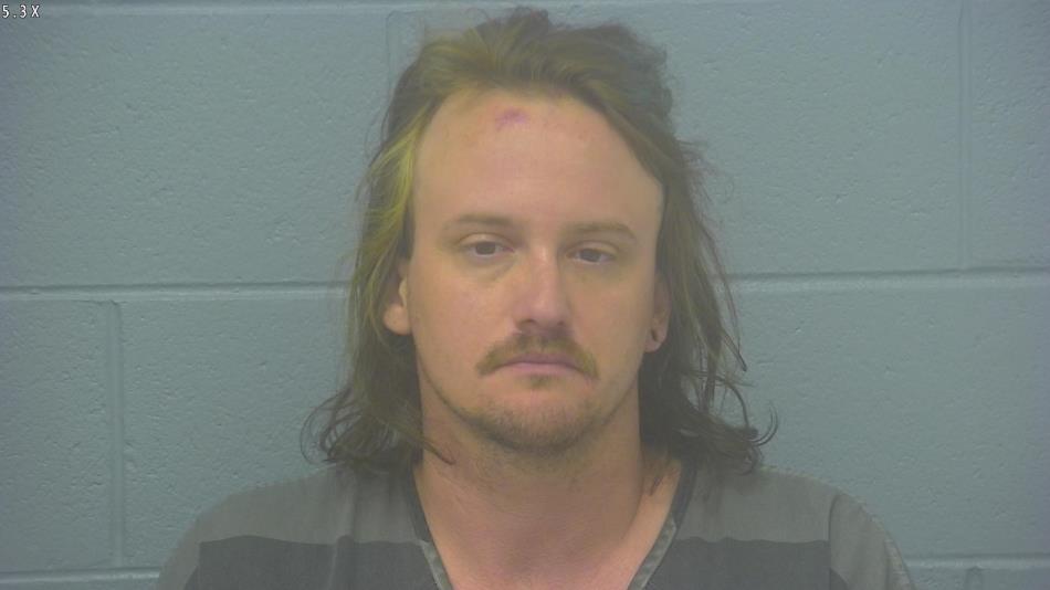 Arrest photo of TROY ERWIN