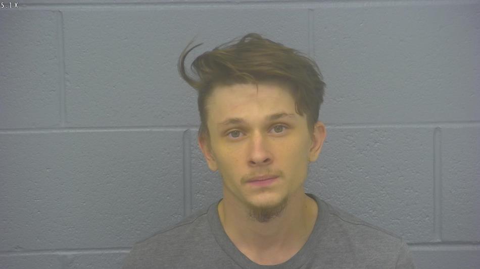 Arrest photo of TRYSTAN LEONARD