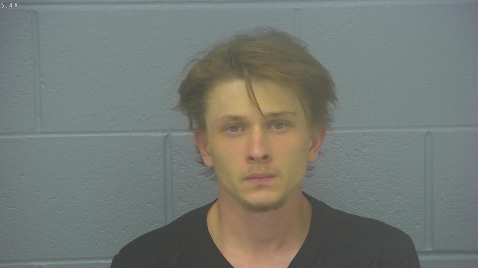 Arrest photo of TRYSTAN LEONARD