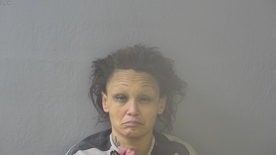 Arrest photo of TWILA WILLIAMS