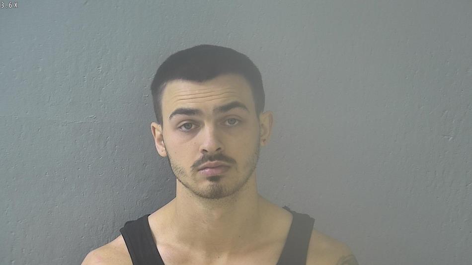 Arrest photo of TYLER WOLFE