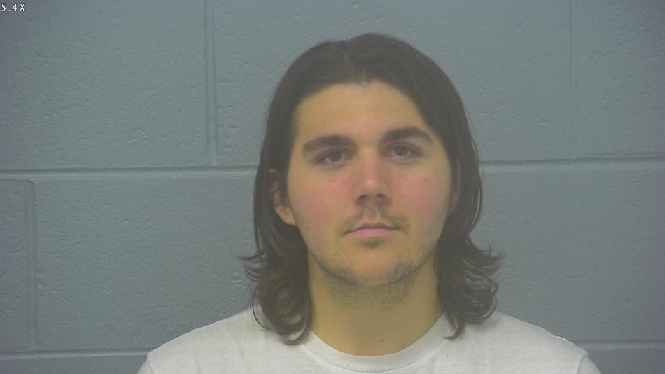 Arrest photo of TYLER DORMAN