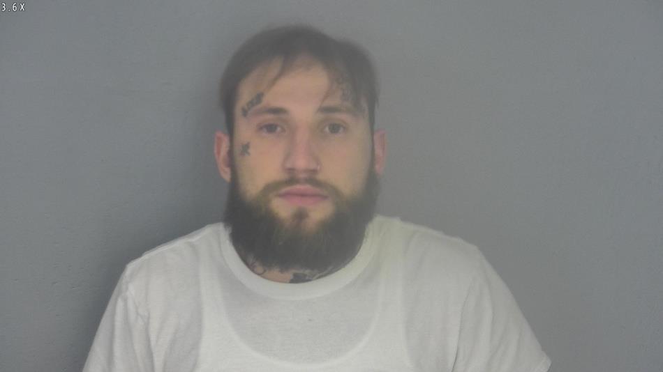 Arrest photo of TYLER HARRIS