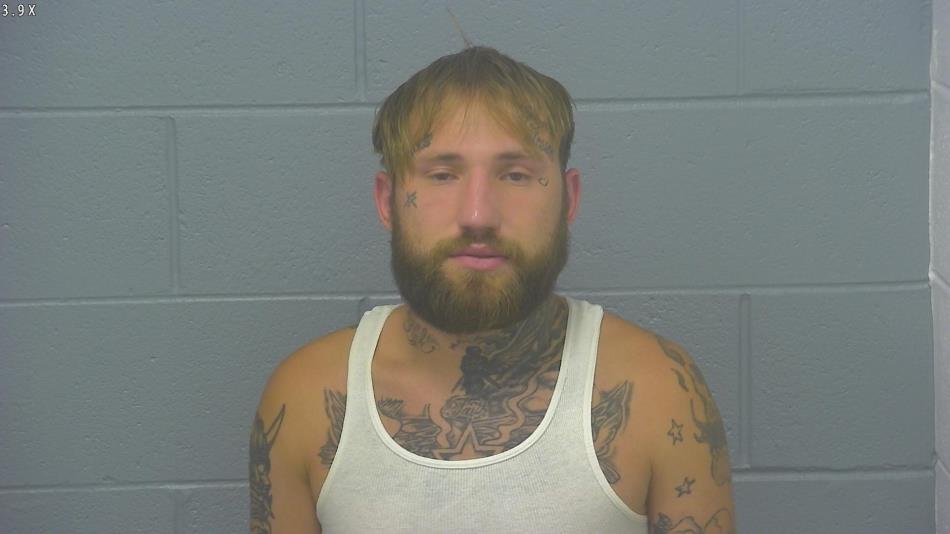 Arrest photo of TYLER HARRIS