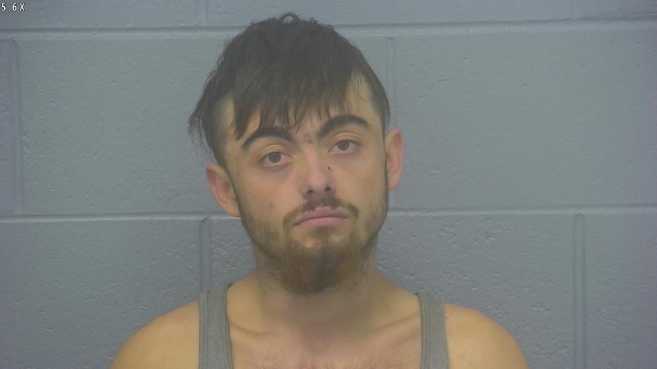 Arrest photo of TYLER IRWIN