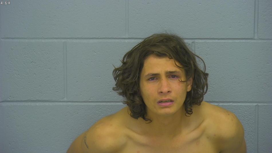 Arrest photo of TYLER DAVIS