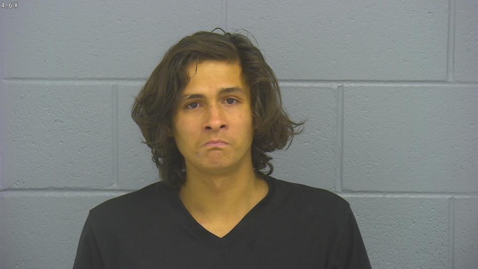 Arrest photo of TYLER DAVIS