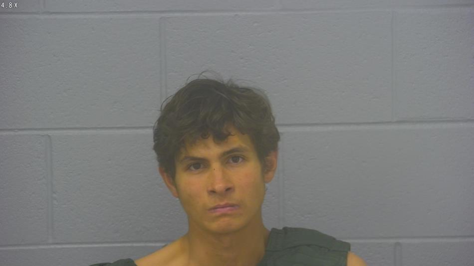 Arrest photo of TYLER DAVIS