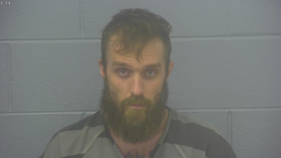 Arrest Photo of TYLER COURTOIS, arrested on 3/14/2025