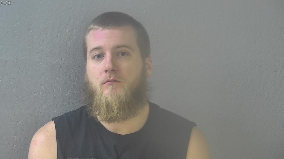 Arrest photo of TYLER WEHLING