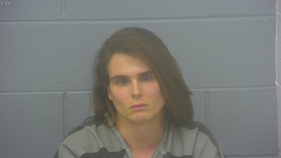 Arrest photo of TYLER LUCAS