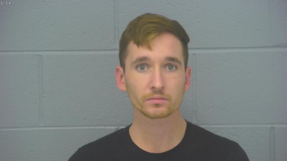 Arrest photo of TYLER SILLS