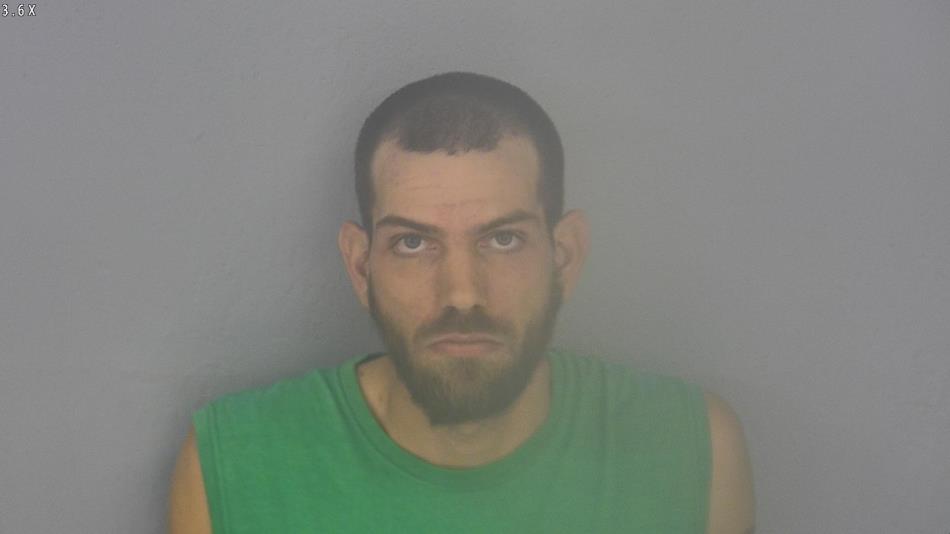 Arrest photo of TYLER BUSSARD