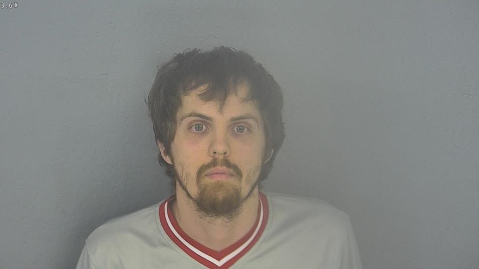 Arrest photo of TYLER BROWN